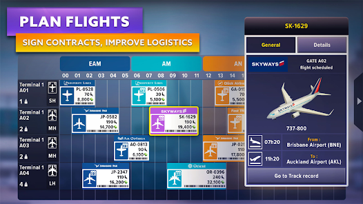 Plan Flights of Airport Simulator First Class