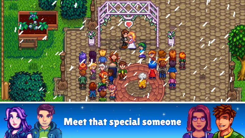 Meet that special someone of Stardew Valley APK